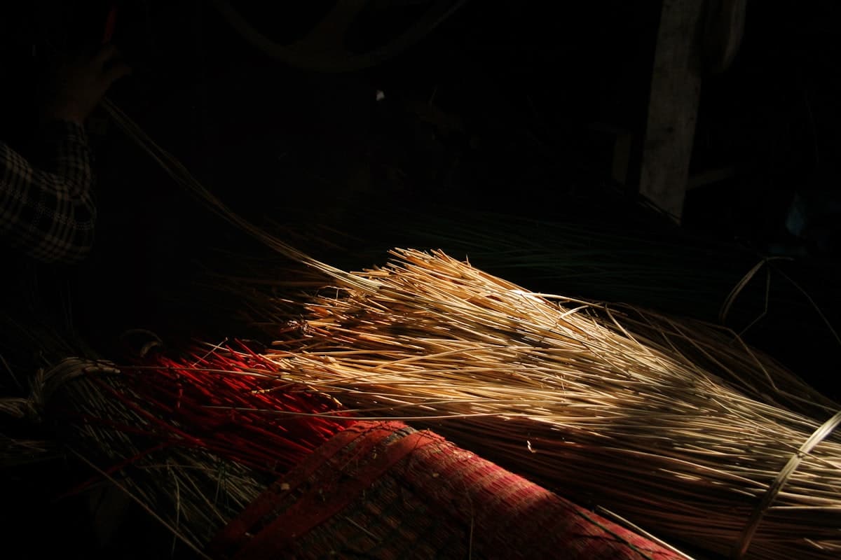 A bundle of cut rush and dried grasses lit against a dark barn interior.